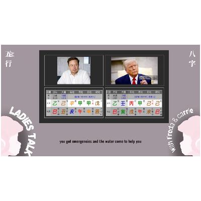 Trump 🆚 Elon the Conflict about political view.   Ten Gods in Action2