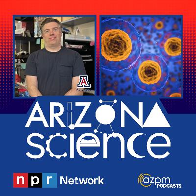 Charting the molecular signaling inside our cells