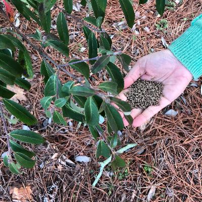 How to Prepare Your Garden for Spring How to Prepare Your Garden for Spring