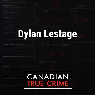 Dylan Lestage