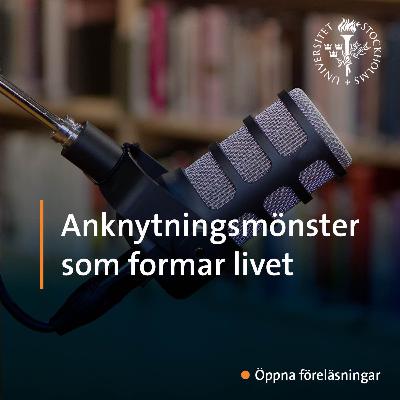 Anknytningsmönster som formar livet