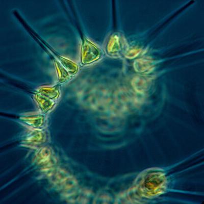 Alaska Fisheries Report 20 November 2025