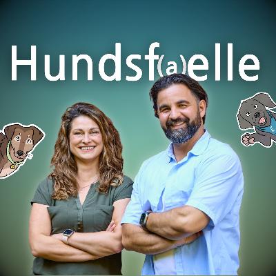 130 -Stress beim Hund erkennen – warum nicht jedes Verhalten ein Problem ist