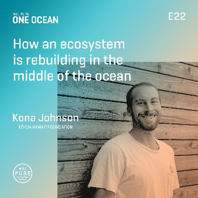How an ecosystem is rebuilding in the middle of the ocean