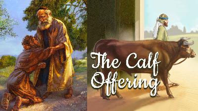 The Calf Offering The Calf Offering