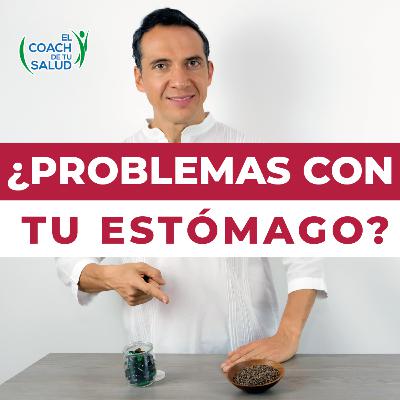 Semilla de Chía para problemas con tu estómago