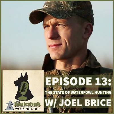 IPPC EPISODE 13: The State of Waterfowl Hunting w/ Joel Brice - Head Conservationist for Delta Waterfowl.