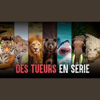 Les pires attaques d’animaux de l’histoire de l’humanité