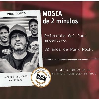 Mosca 2 minutos anecdotario punk