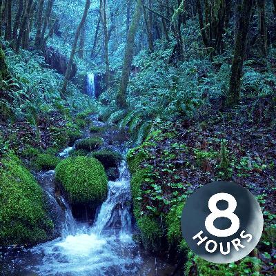 Entspannende Regengeräusche und ein Waldbach | Wassergeräusche zum Einschlafen (8 Stunden)
