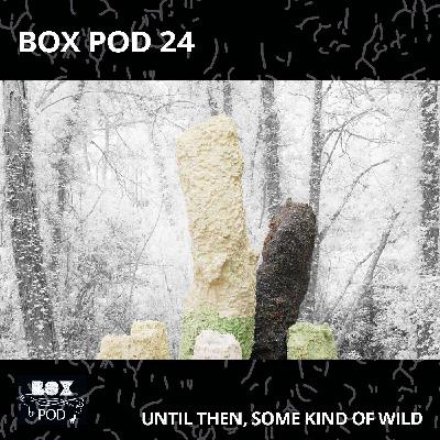 Adrián Espinós Ferrero / Daniel Vincent Hansen - Until then, some kind of wild