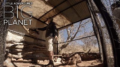 Warthog cuddling & pangolin kisses: The life of a wildlife warrior