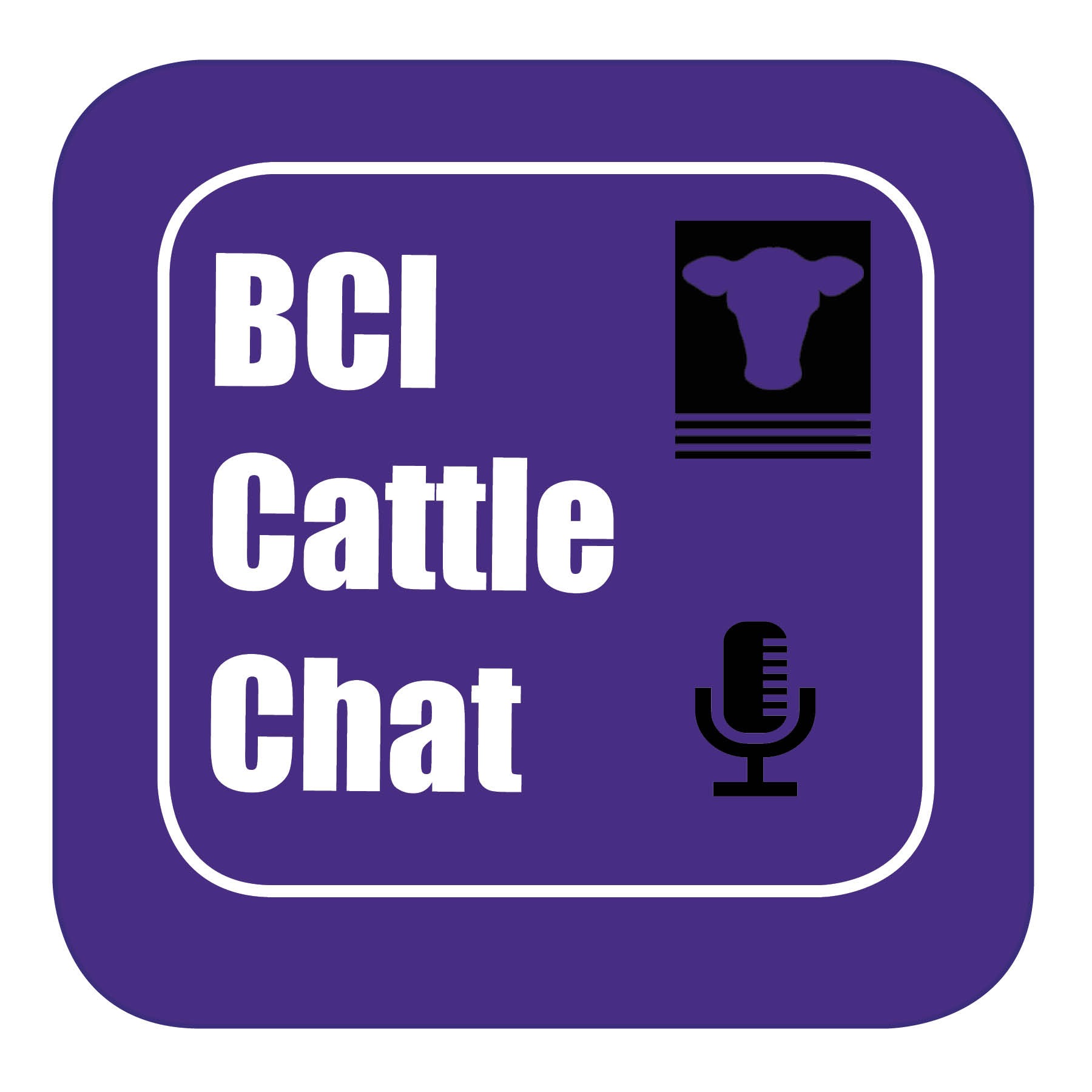 BCI Cattle Chat - Episode 43