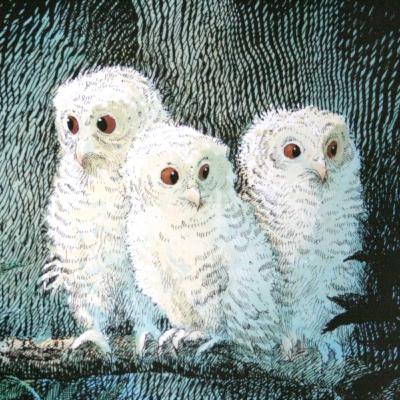 I tre piccoli gufi