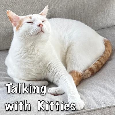 Vacay Hangover Episode Vacay Hangover Episode