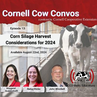 Cornell Cow Convos E13 Corn Silage Harvest Considerations For 2024 Cornell Cow Convos E13 Corn Silage Harvest Considerations For 2024