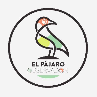 134. EPOpurri: SDDR, Podkasts.org, Test de Briega, Polígonos Eólicos No 134. EPOpurri: SDDR, Podkasts.org, Test de Briega, Polígonos Eólicos No