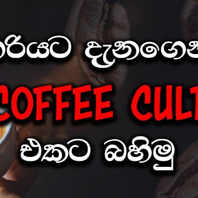 ඔබේ දවස වෙනස් කරන COFFEE! | කෝපි ලෝලීන්ට අනිවාර්යයි! | Coffee Explained in Sinhala