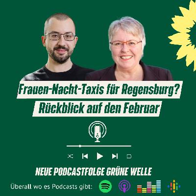 Frauen-Nacht-Taxis für Regensburg? Rückblick auf den Februar im Stadtrat Frauen-Nacht-Taxis für Regensburg? Rückblick auf den Februar im Stadtrat