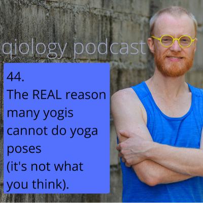 44. The REAL reason many yogis cannot do yoga poses (it's not what you think) - part 1. 44. The REAL reason many yogis cannot do yoga poses (it's not what you think) - part 1.