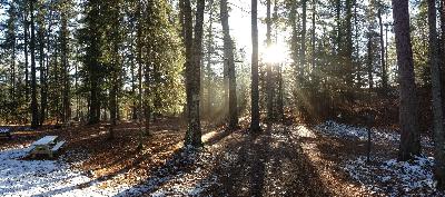 Outdoor writers review the biggest issues in wildlife management and conservation