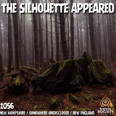 White Mountains of New Hampshire: Cloaking, Telepathy, and a Massive Forest Encounter