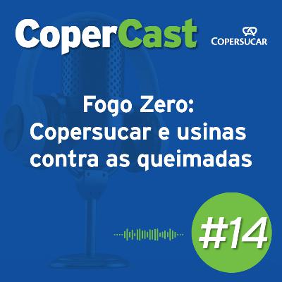 Fogo Zero: Copersucar e usinas contra as queimadas Fogo Zero: Copersucar e usinas contra as queimadas