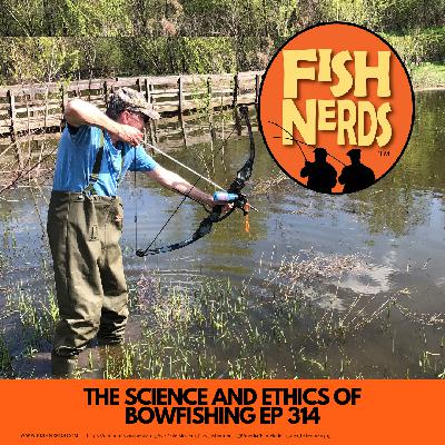 The Science and Ethics of Bowfishing Fish Nerds 314