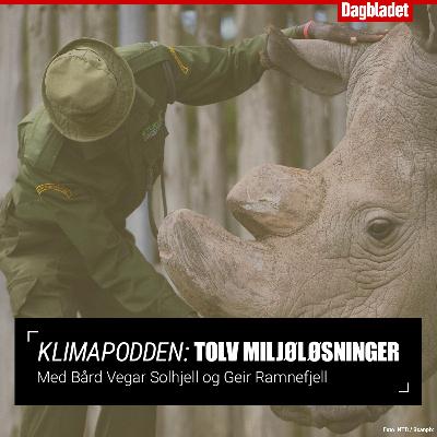 #4: - Mennesker er den nye asteroiden