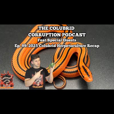 2025 Breeding Season & "Colubridculture" Recap w/ Special Guests | Colubrid Corruption | Ep. 89