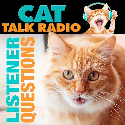 Listener Questions Listener Questions