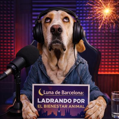 Petardos: La Ciencia del Miedo y cómo proteger a tu perro este Año Nuevo Petardos: La Ciencia del Miedo y cómo proteger a tu perro este Año Nuevo