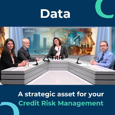 Data, a strategic asset for your Credit Risks management Data, a strategic asset for your Credit Risks management