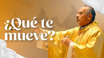¿Qué estas buscando?