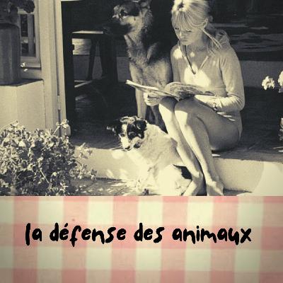 la défense des animaux (Bardot)