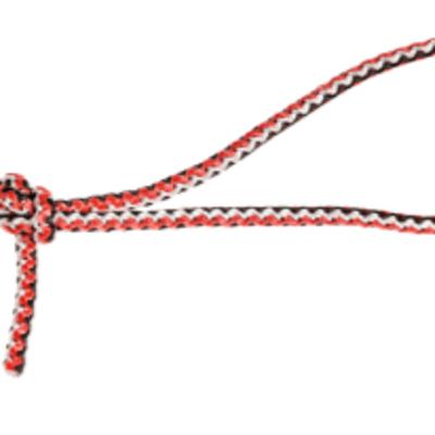 Knotenfiebel und Knotenempfehlung fürs Forellenangeln Knotenfiebel und Knotenempfehlung fürs Forellenangeln