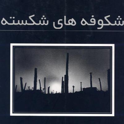 عکاس دوران دفاع مقدس