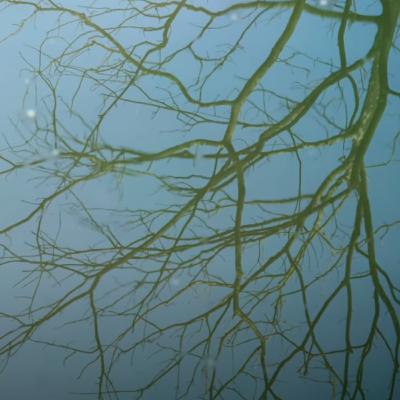 1/4 Non-duality is simple. Wiesen 07.2025