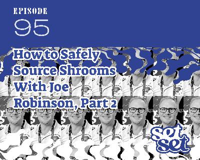 Ep. 95 | Psilocybin Product Safety: What You Need to Know