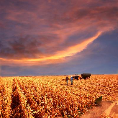 October 2019 Harvest Updates (Season 1, Episode 10)