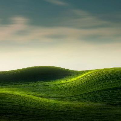 Trip to Bihar Trip to Bihar