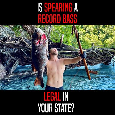 The STRANGEST State Fishing Records and Regulations