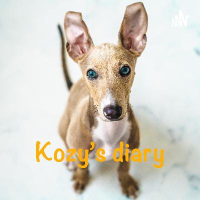 甘噛みトレーニング【Kozyの成長日記】生後62日目