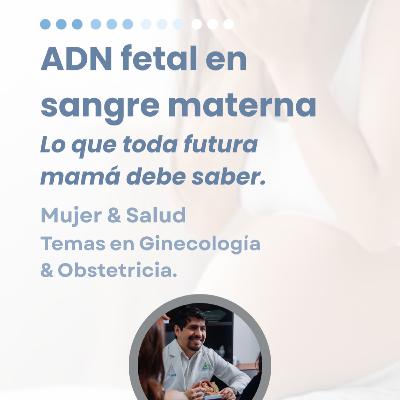 ¿Qué es la prueba de ADN fetal en sangre materna? ¿Qué es la prueba de ADN fetal en sangre materna?