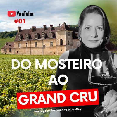 Por Que a França se Tornou a Maior Referência Mundial em Vinhos de Qualidade? | #01 Baco Valley