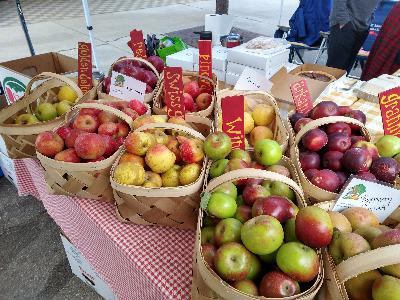 Episode 68 - Where Do I Find All These Apples?