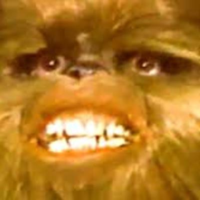 Episode Two - The Star Wars Holiday Special