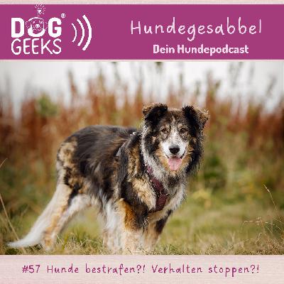 #57 DogGeeks - Hundegesabbel „Hunde bestrafen?! Verhalten stoppen?!“