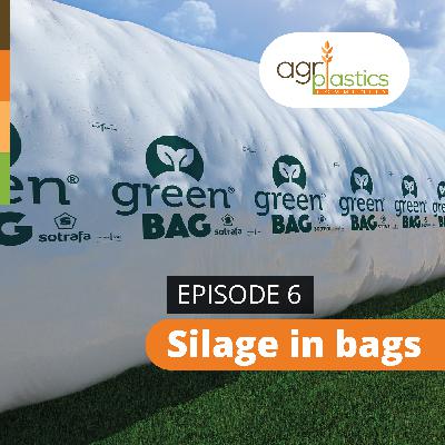 Silage in bags