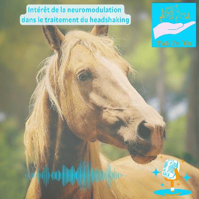 Intérêt de la neuromodulation dans le traitement du headshaking